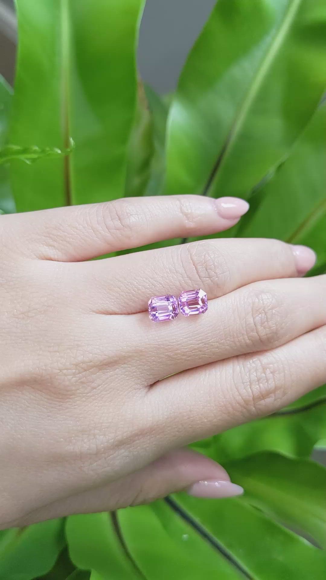 4.06&nbsp;Ct.Tw.Total Carat Weight Kunzite Pair from Afghanistan Size Video