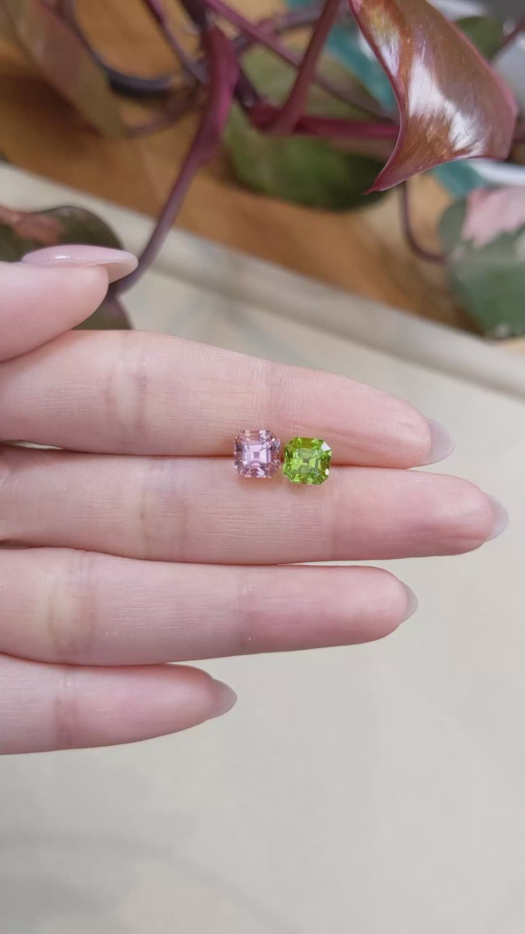 3.38 Ct.Tw.Total Carat Weight Tourmaline Pair from Mozambique Size Video