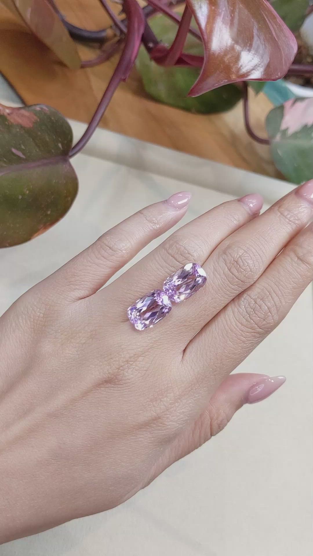 16.44&nbsp;Ct.Tw.Total Carat Weight Kunzite Pair from Afghanistan Size Video