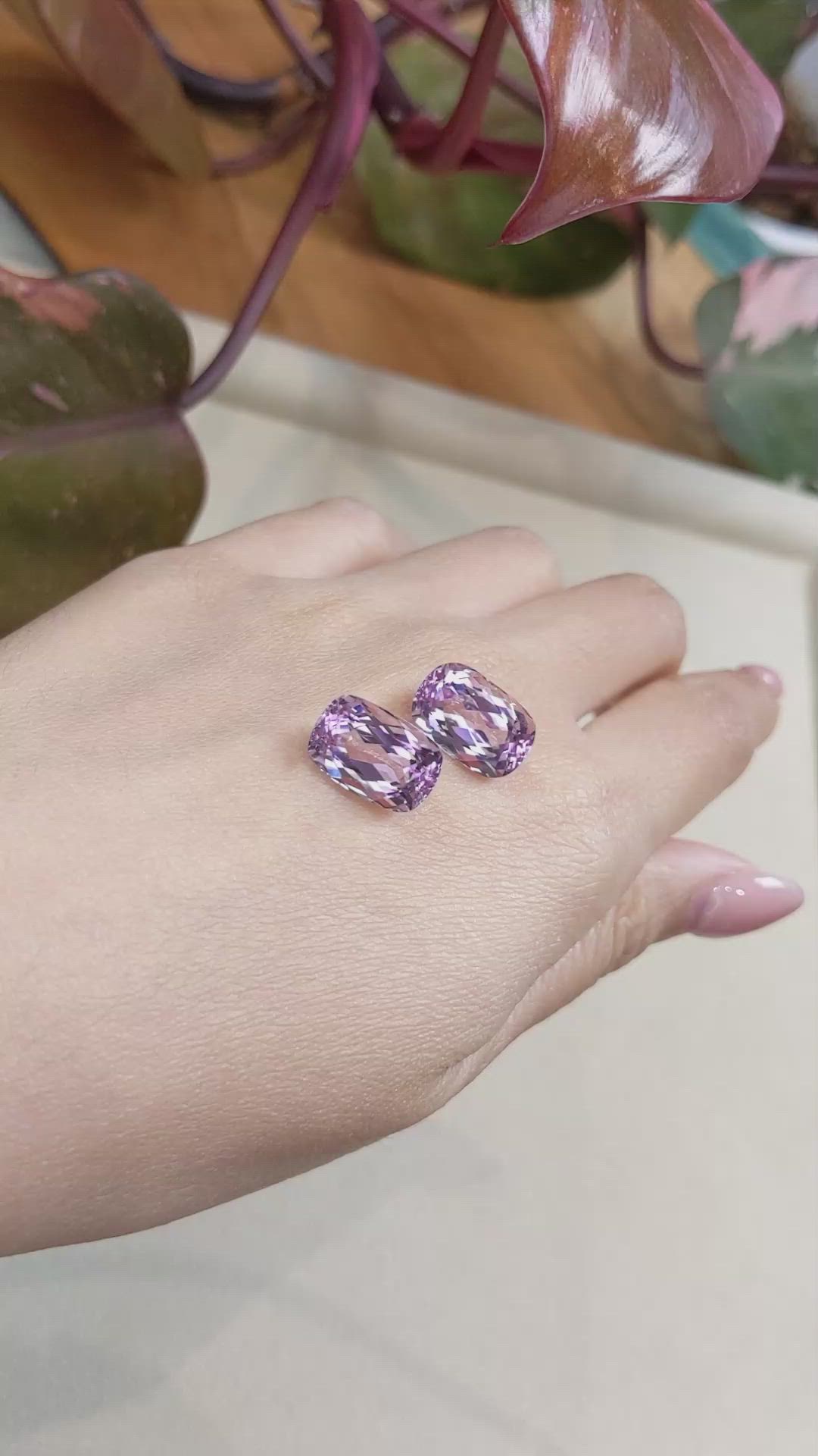 16.44&nbsp;Ct.Tw.Total Carat Weight Kunzite Pair from Afghanistan Size Video