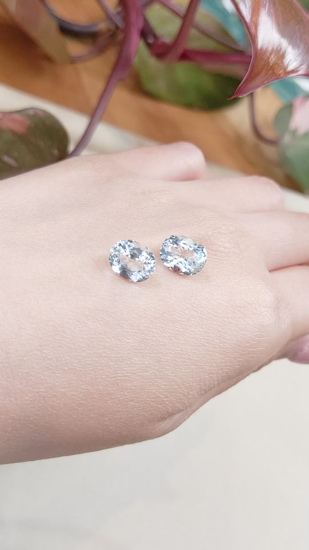 5.35&nbsp;Ct.Tw.Total Carat Weight Aquamarine Pair from Brazil Size Video