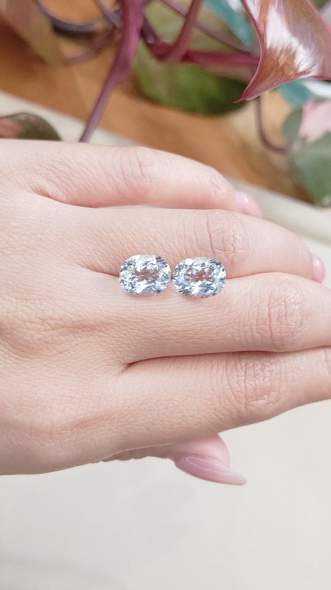 5.35&nbsp;Ct.Tw.Total Carat Weight Aquamarine Pair from Brazil Size Video