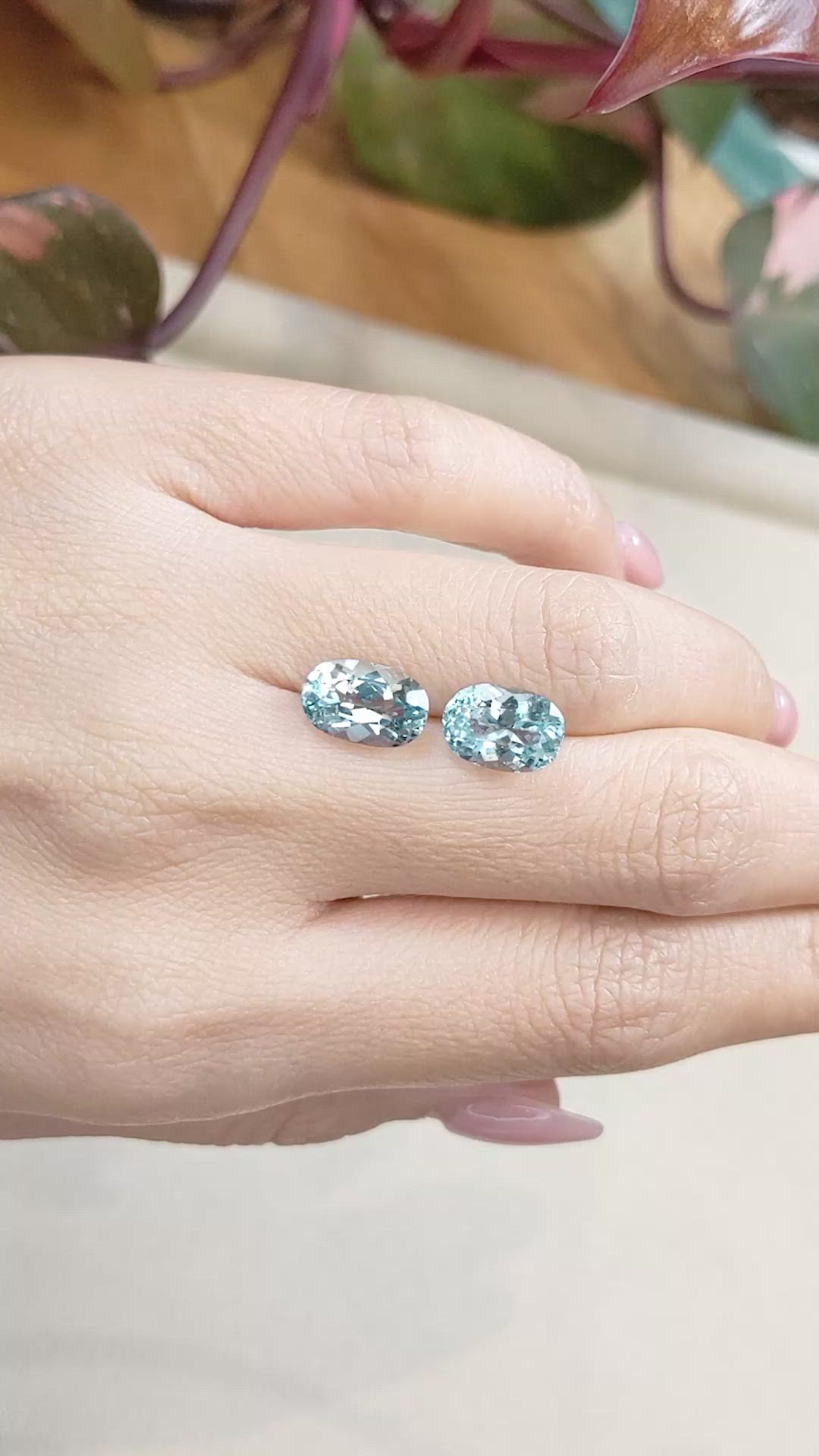 4.94&nbsp;Ct.Tw.Total Carat Weight Aquamarine Pair from Brazil Size Video