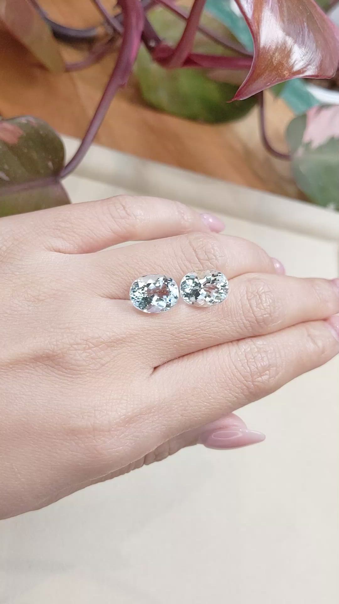 9.65&nbsp;Ct.Tw.Total Carat Weight Aquamarine Pair from Brazil Size Video