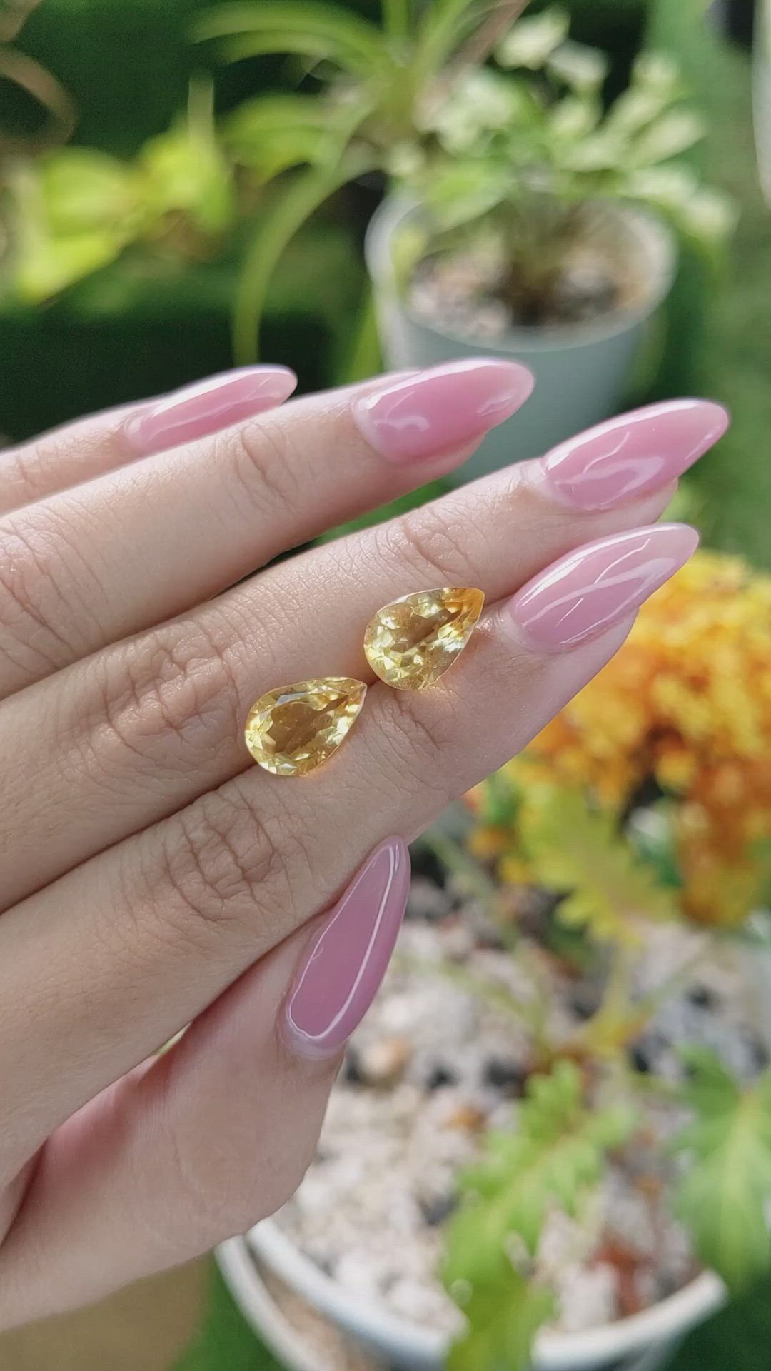 5.11&nbsp;Ct.Tw.Total Carat Weight Yellow Citrine Pair from Brazil Size Video