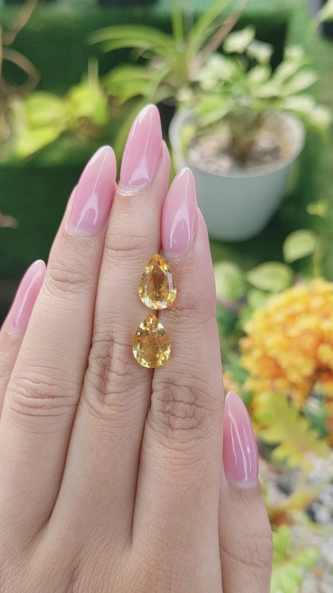 4.75 Ct.Tw.Total Carat Weight Citrine Pair from Brazil Size Video