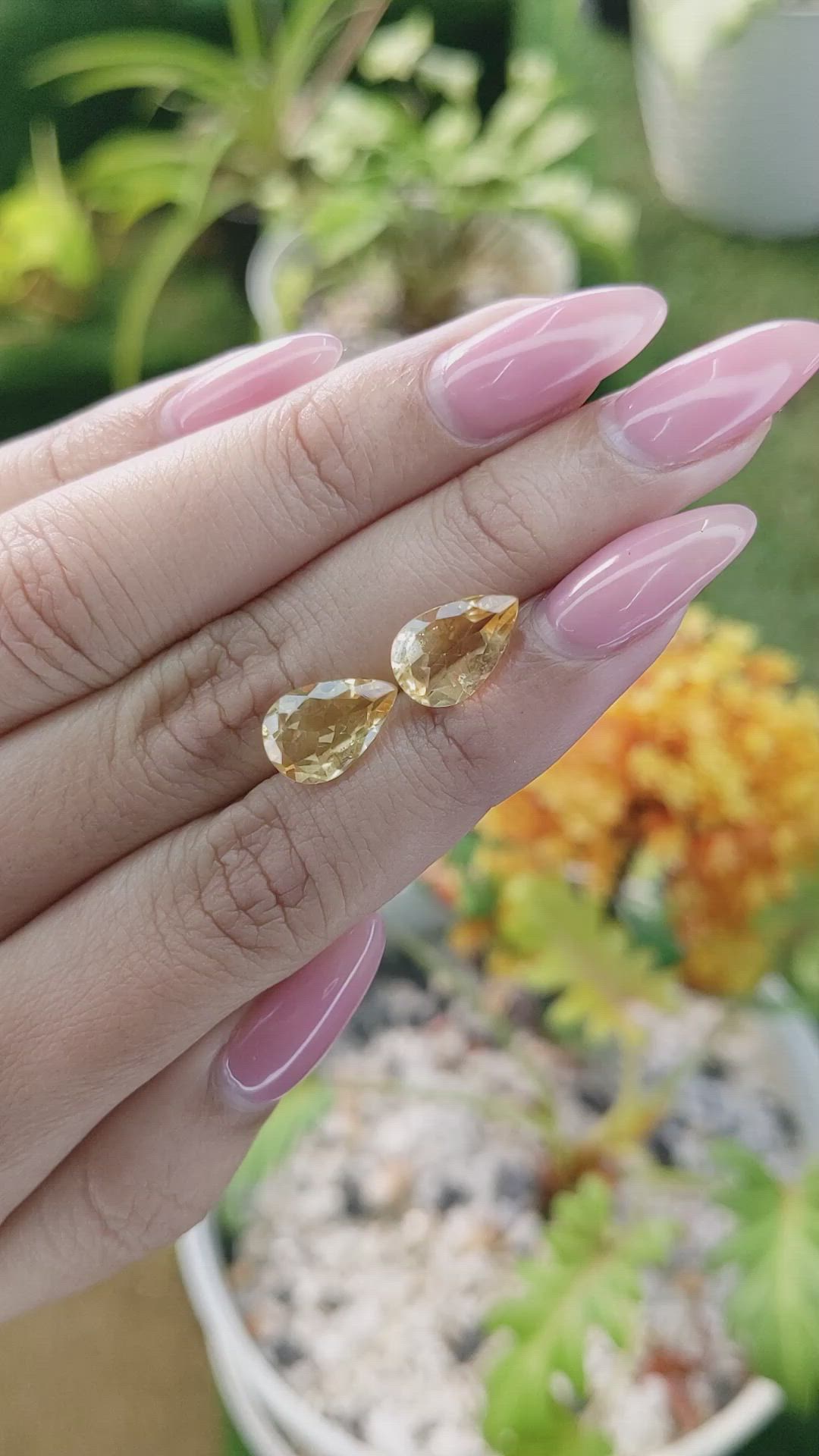 4.65&nbsp;Ct.Tw.Total Carat Weight Yellow Citrine Pair from Brazil Size Video