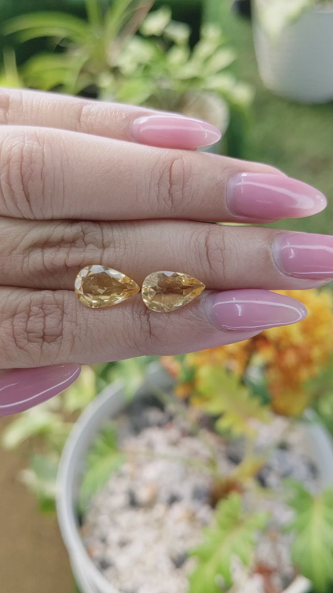4.65&nbsp;Ct.Tw.Total Carat Weight Yellow Citrine Pair from Brazil Size Video