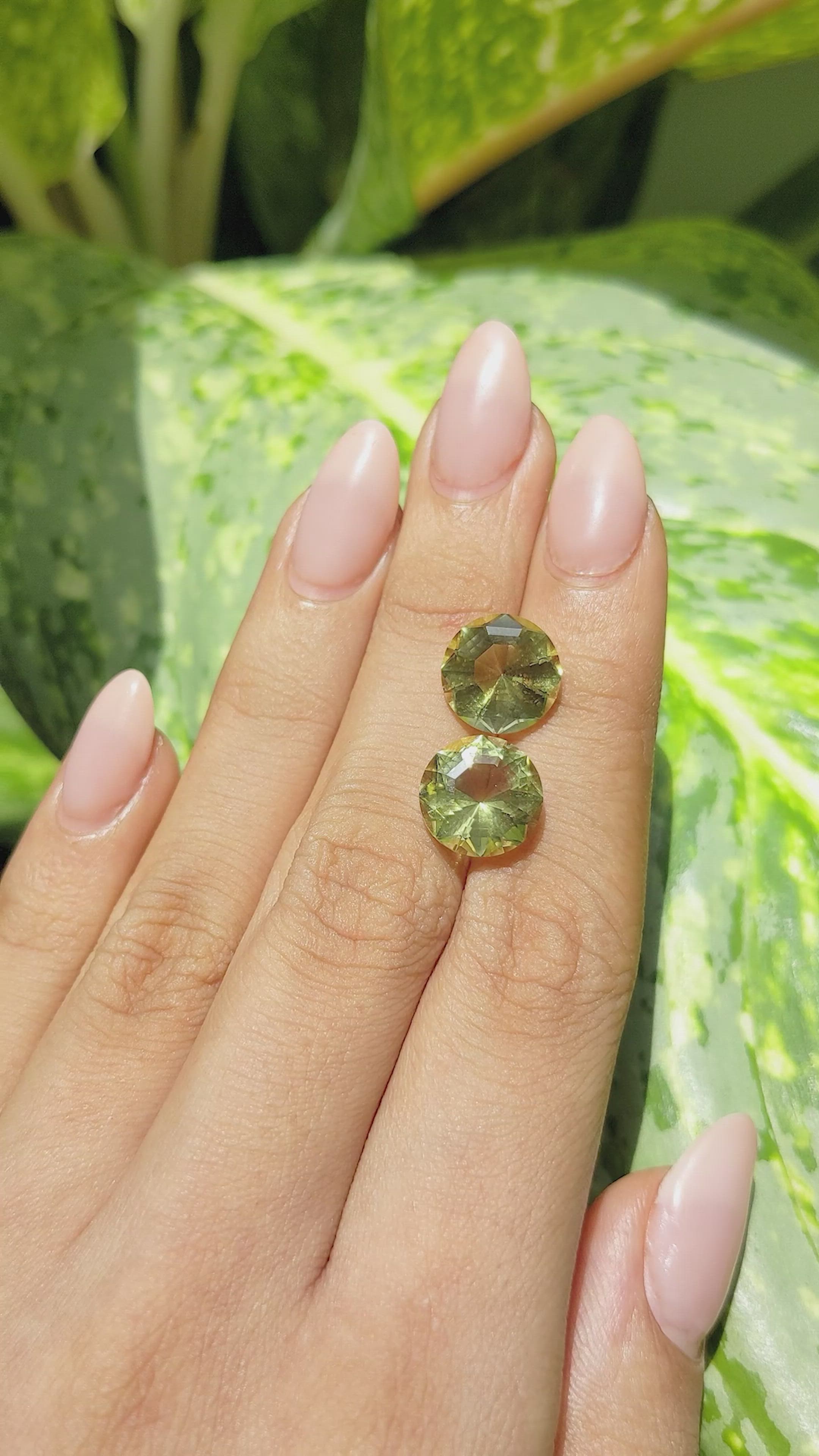 8.53&nbsp;Ct.Tw.Total Carat Weight Quartz Pair from Madagascar Size Video