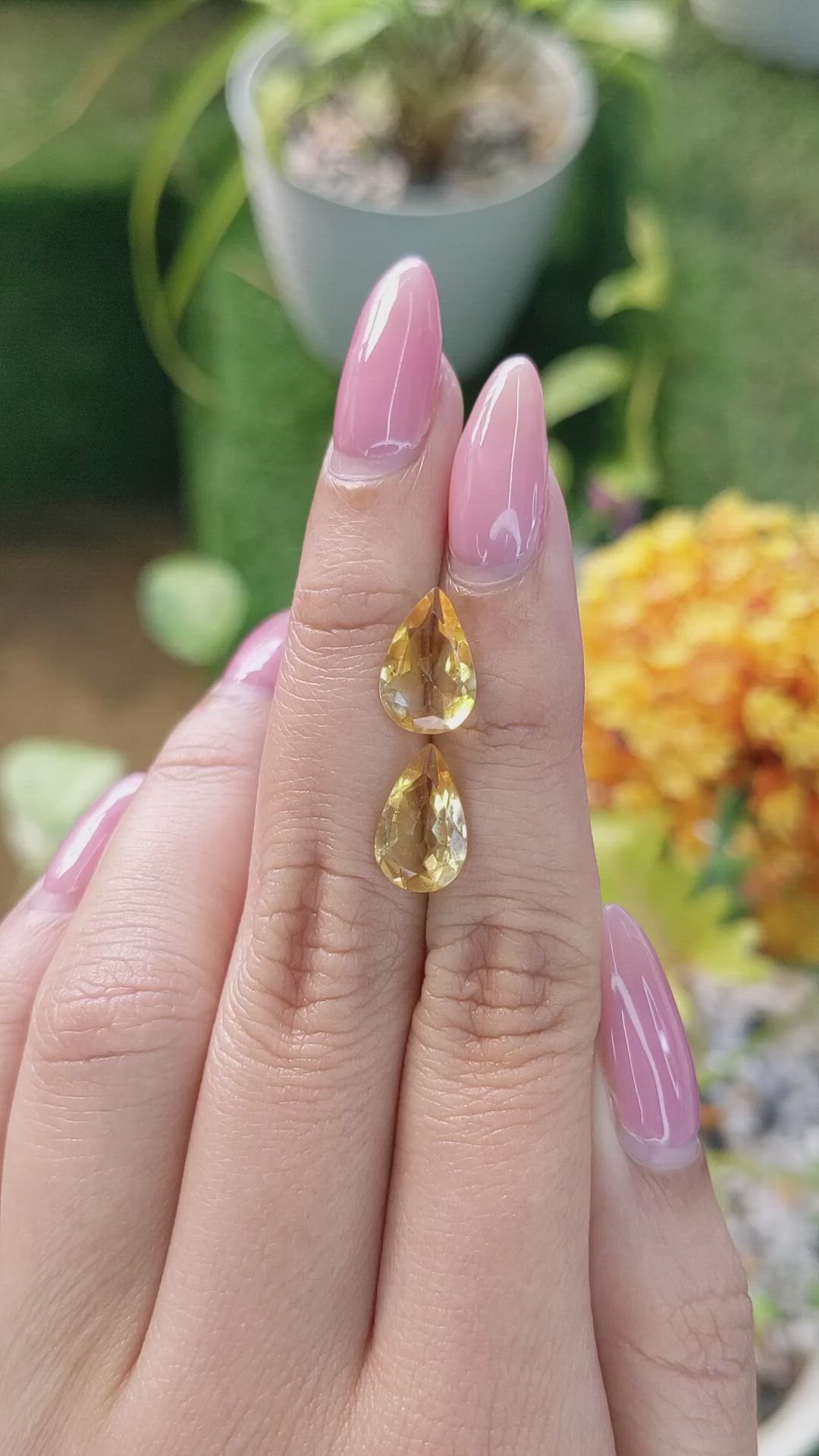 4.04 Ct.Tw.Total Carat Weight Citrine Pair from Brazil Size Video
