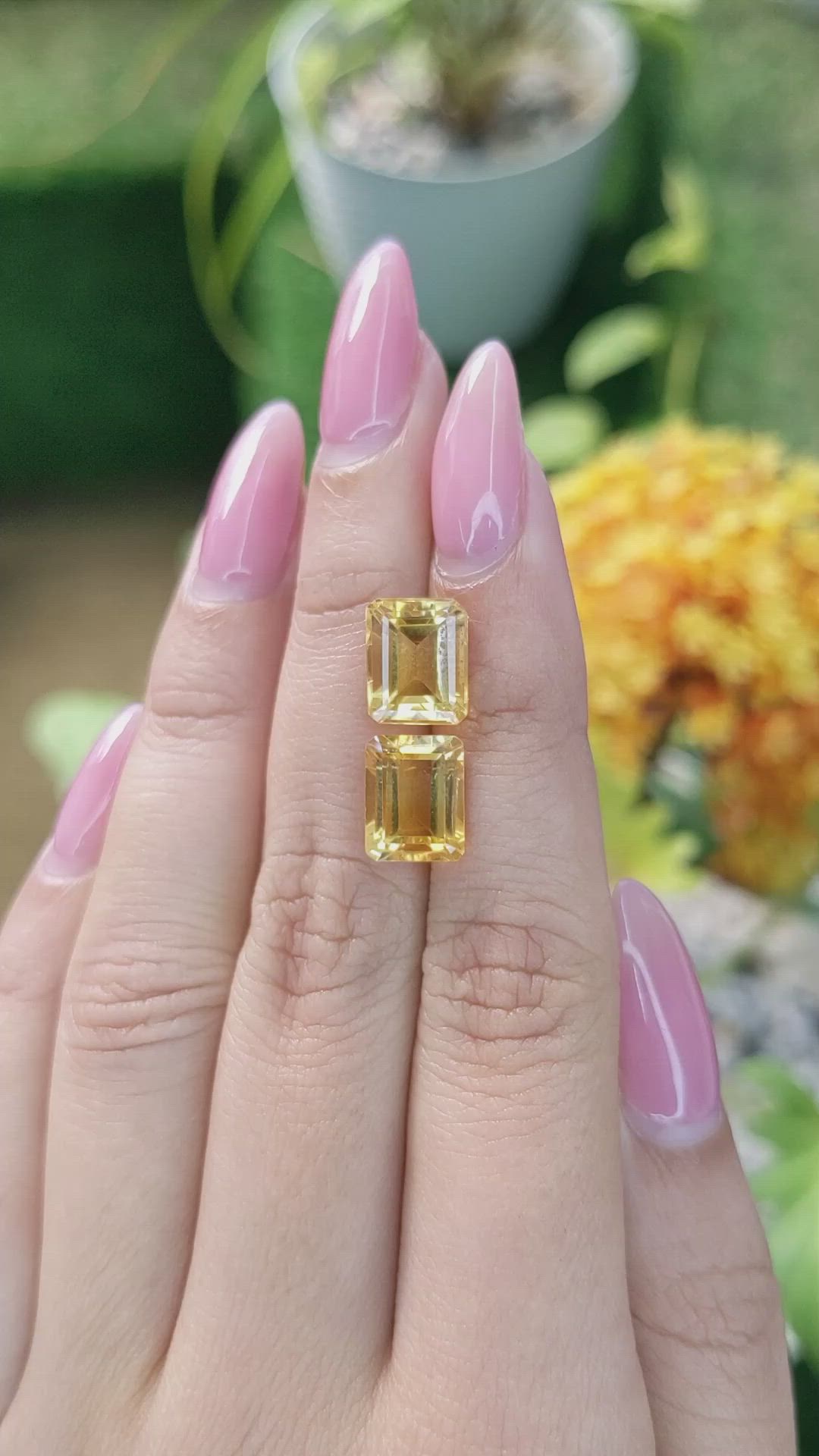 6.87&nbsp;Ct.Tw.Total Carat Weight Yellow Citrine Pair from Brazil Size Video