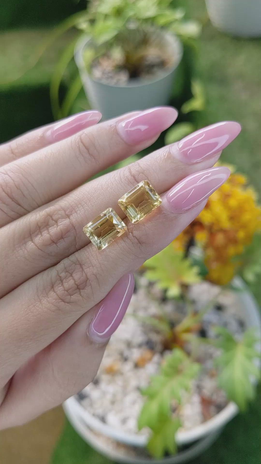 6.62&nbsp;Ct.Tw.Total Carat Weight Citrine Pair from Brazil Size Video