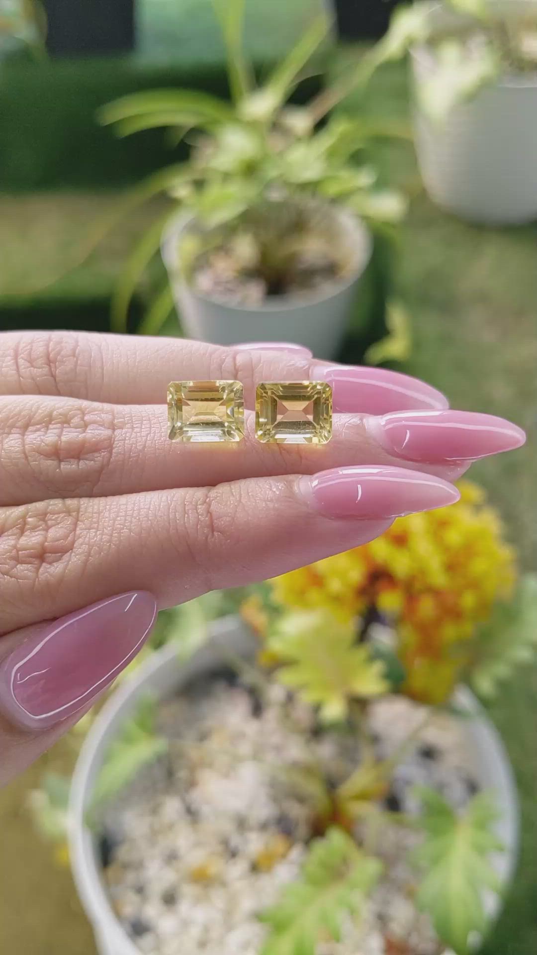 6.62&nbsp;Ct.Tw.Total Carat Weight Citrine Pair from Brazil Size Video