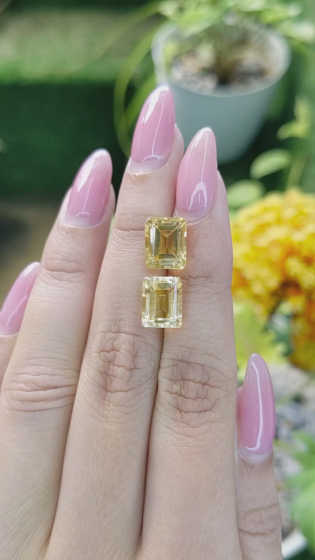 6.62&nbsp;Ct.Tw.Total Carat Weight Citrine Pair from Brazil Size Video