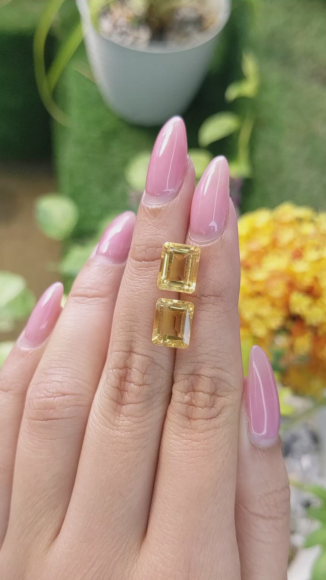 6.79&nbsp;Ct.Tw.Total Carat Weight Citrine Pair from Brazil Size Video