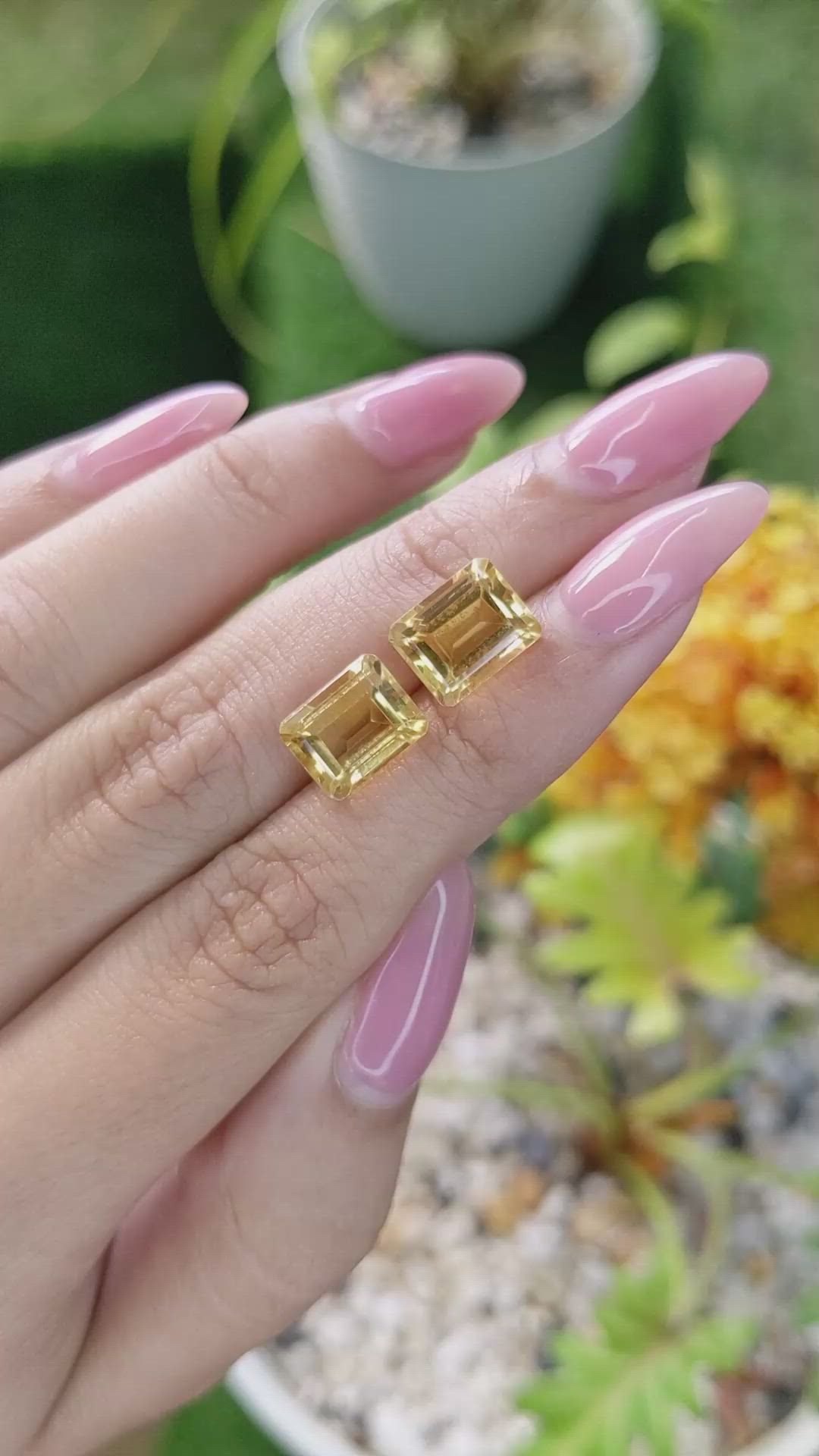 6.79&nbsp;Ct.Tw.Total Carat Weight Citrine Pair from Brazil Size Video