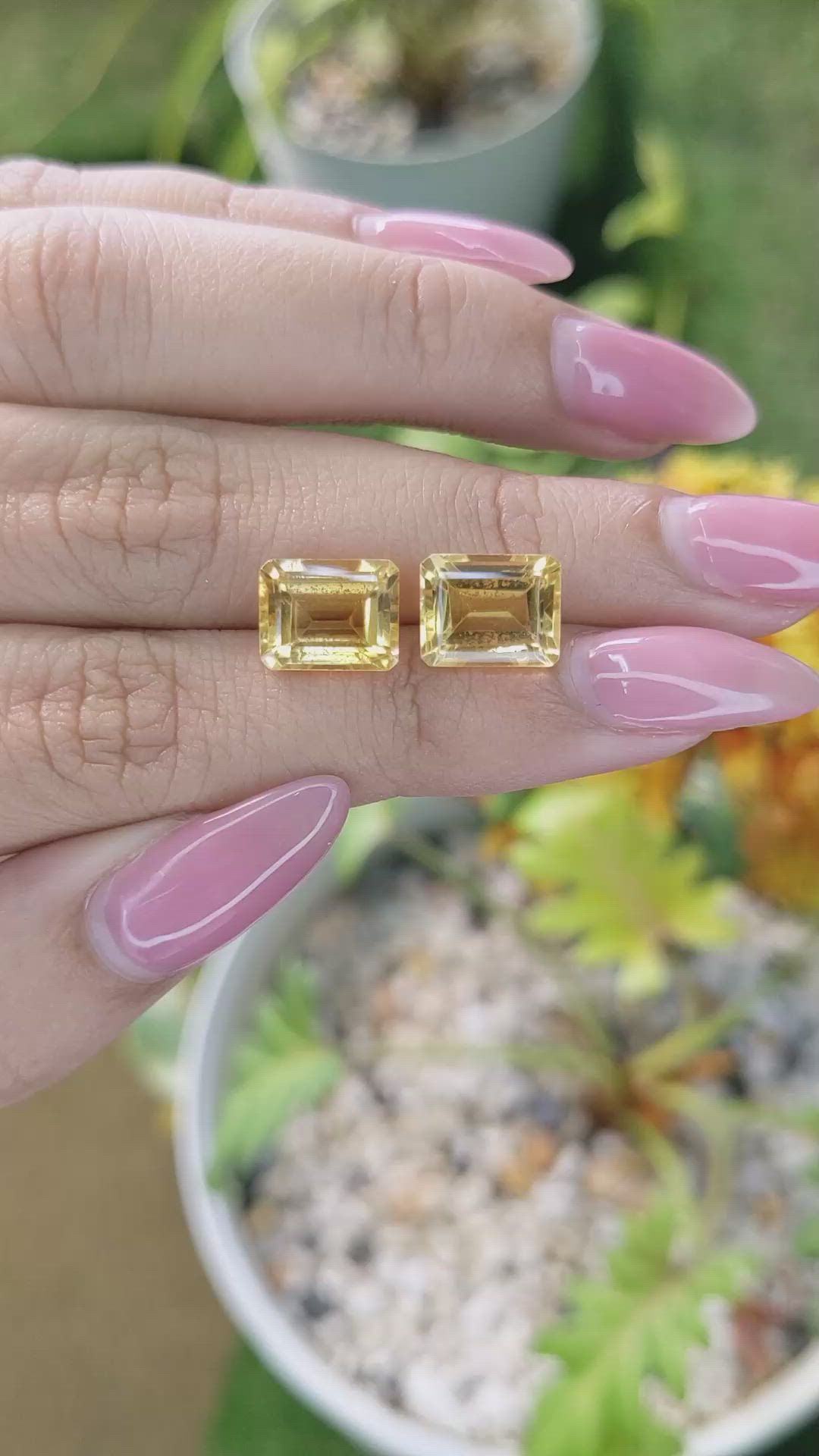 6.79&nbsp;Ct.Tw.Total Carat Weight Citrine Pair from Brazil Size Video