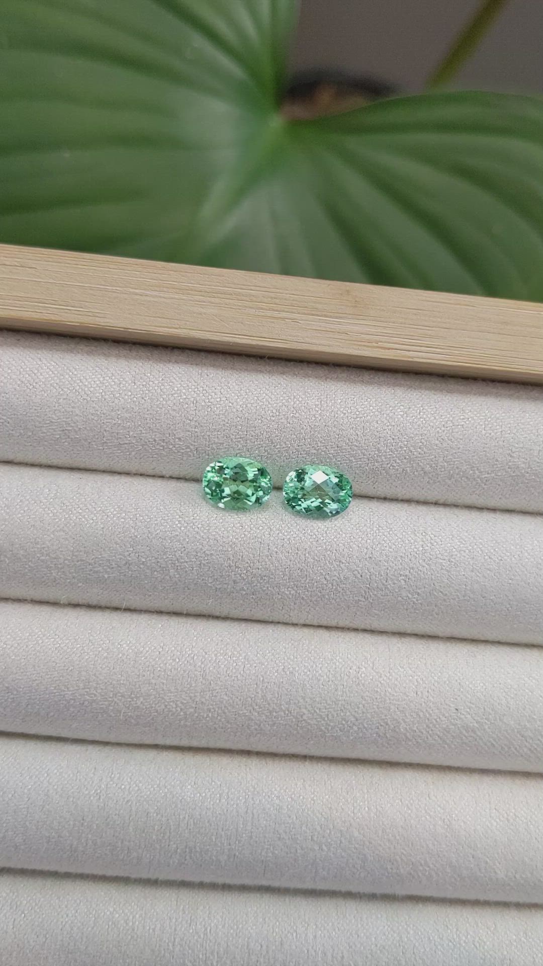 2.82 Ct.Tw.Total Carat Weight Paraiba Tourmaline Pair from Africa Size Video
