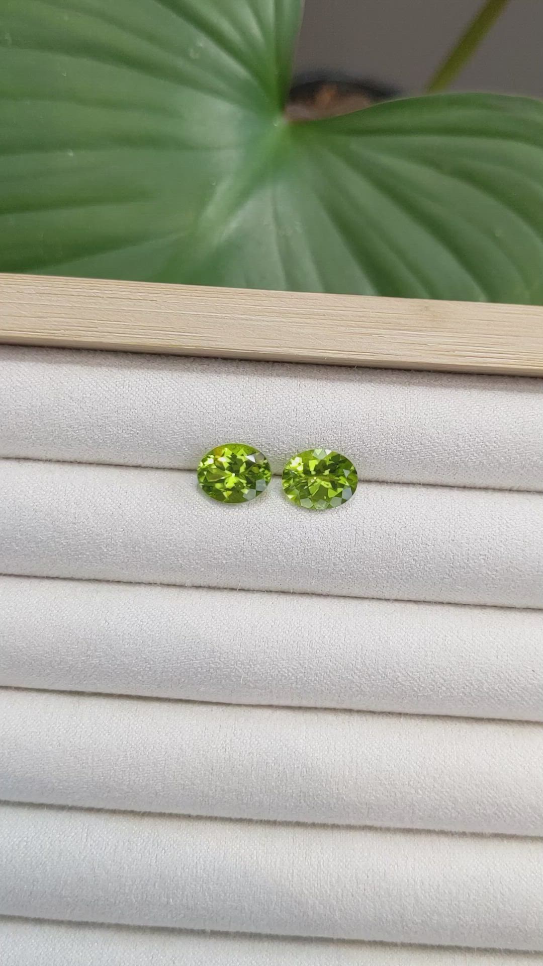 5.39 Ct.Tw.Total Carat Weight Peridot Pair from Burma (Myanmar) Size Video