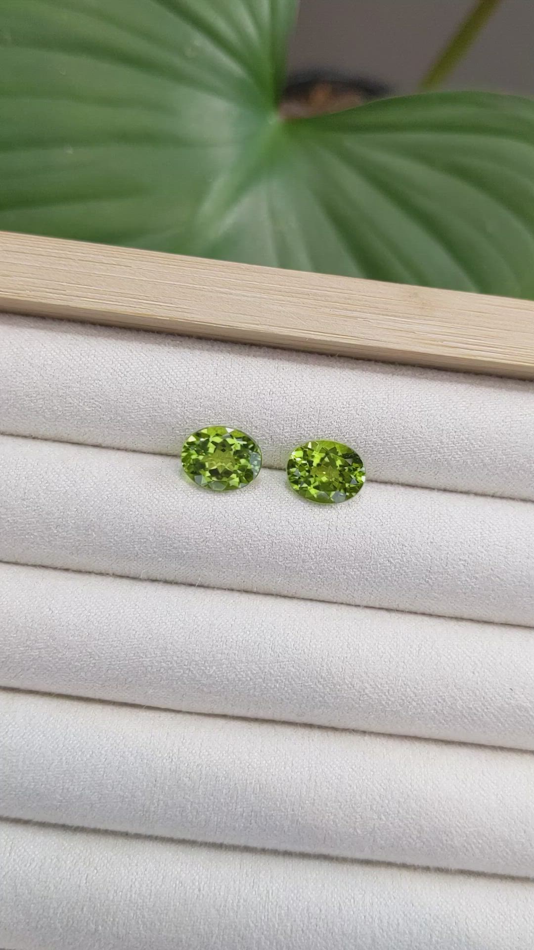 5.54 Ct.Tw.Total Carat Weight Peridot Pair from Burma (Myanmar) Size Video