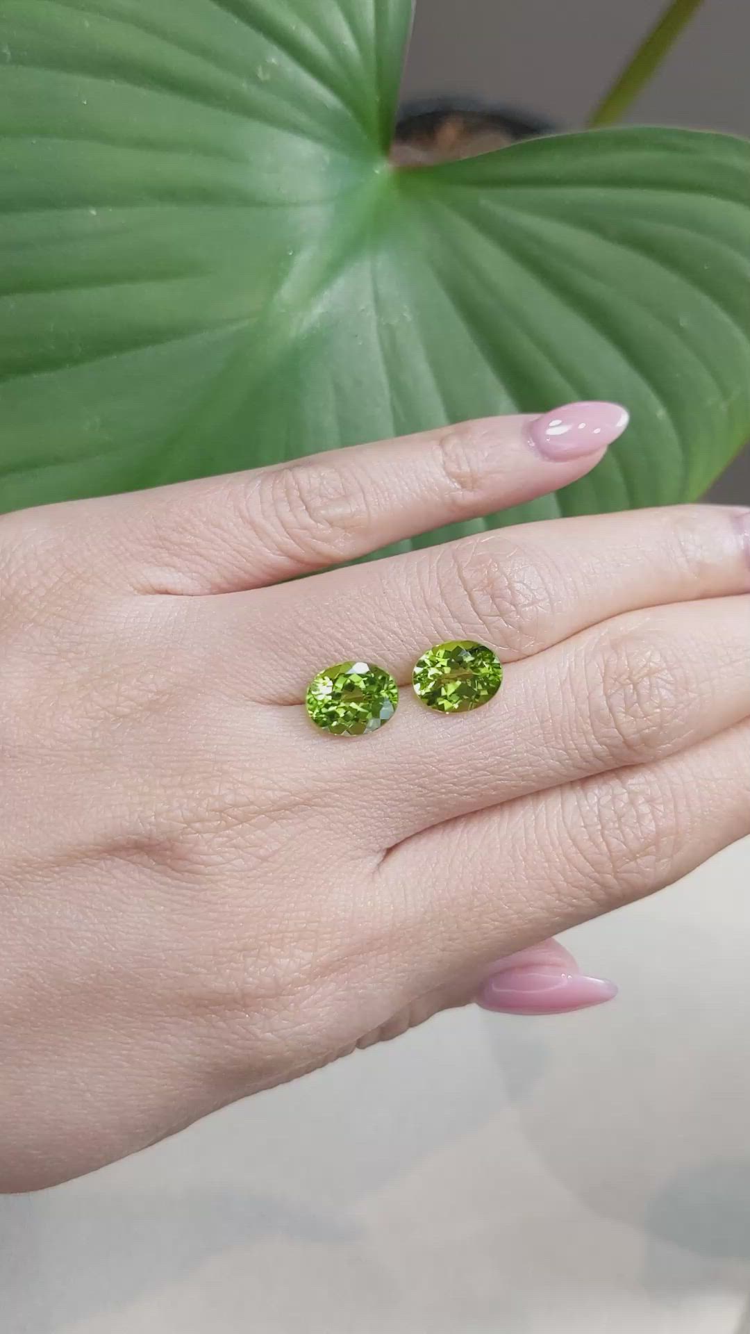 5.54 Ct.Tw.Total Carat Weight Peridot Pair from Burma (Myanmar) Size Video