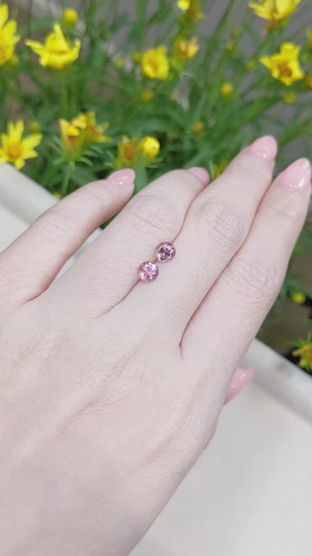 1.27 Ct.Tw.Total Carat Weight Malaya Garnet Pair from Tanzania Size Video