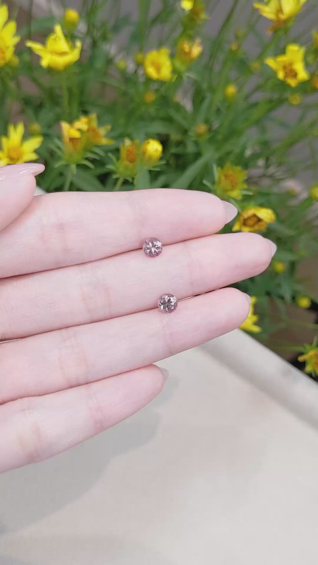 1.27 Ct.Tw.Total Carat Weight Malaya Garnet Pair from Tanzania Size Video