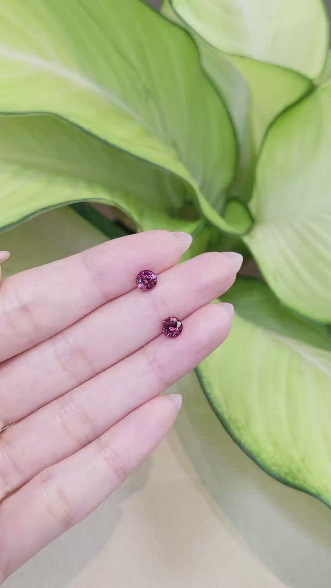 1.76&nbsp;Ct.Tw.Total Carat Weight Garnet Pair from Tanzania Size Video