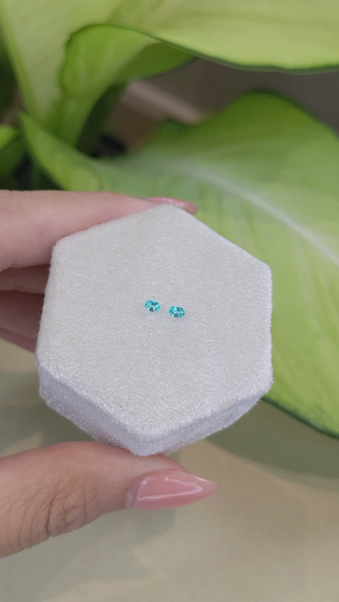 0.12 Ct.Tw.Total Carat Weight Paraiba Tourmaline Pair from Brazil Size Video