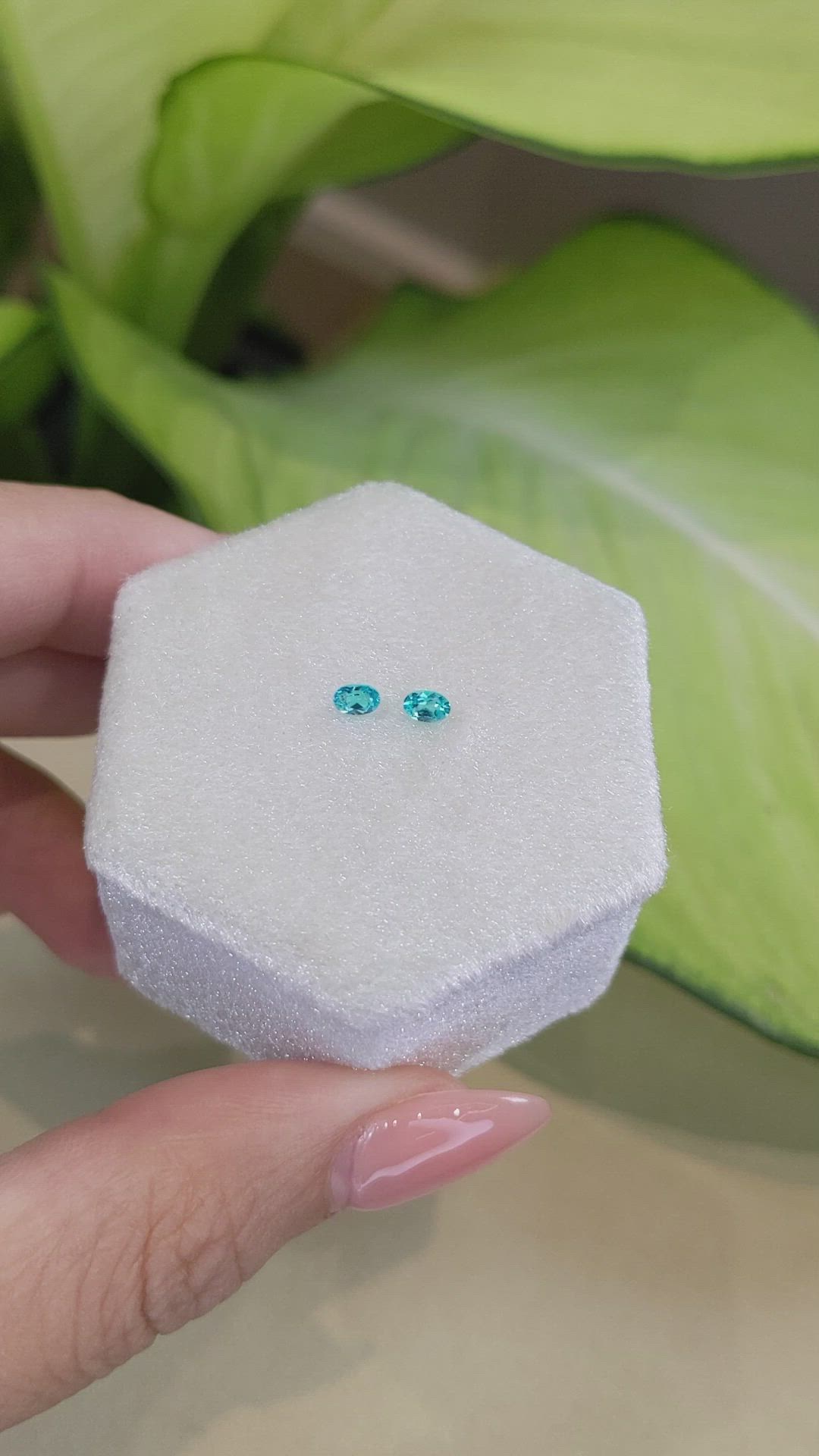 0.23 Ct.Tw.Total Carat Weight Paraiba Tourmaline Pair from Brazil Size Video