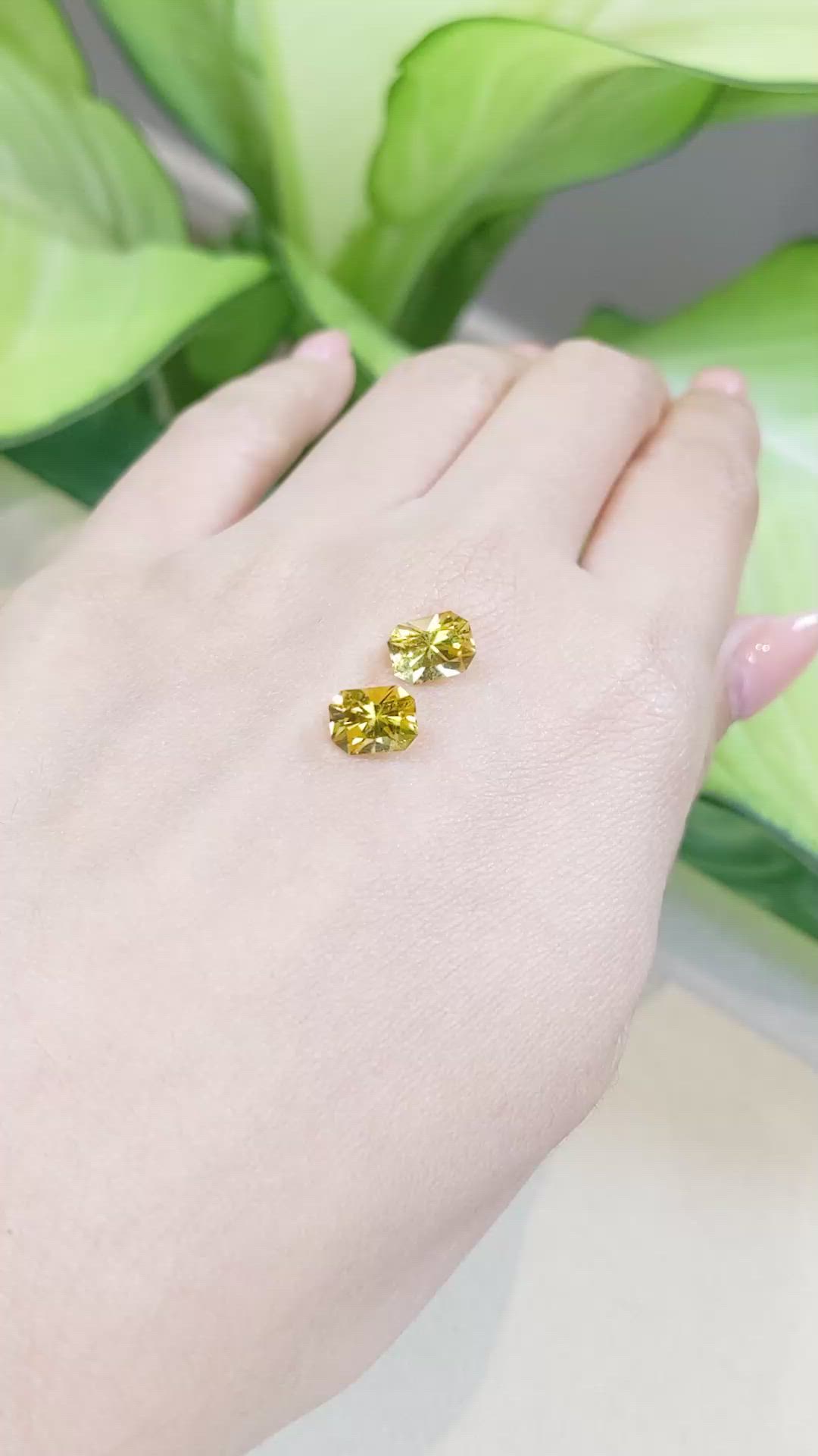 2.62 Ct.Tw.Total Carat Weight Beryl Pair Size Video