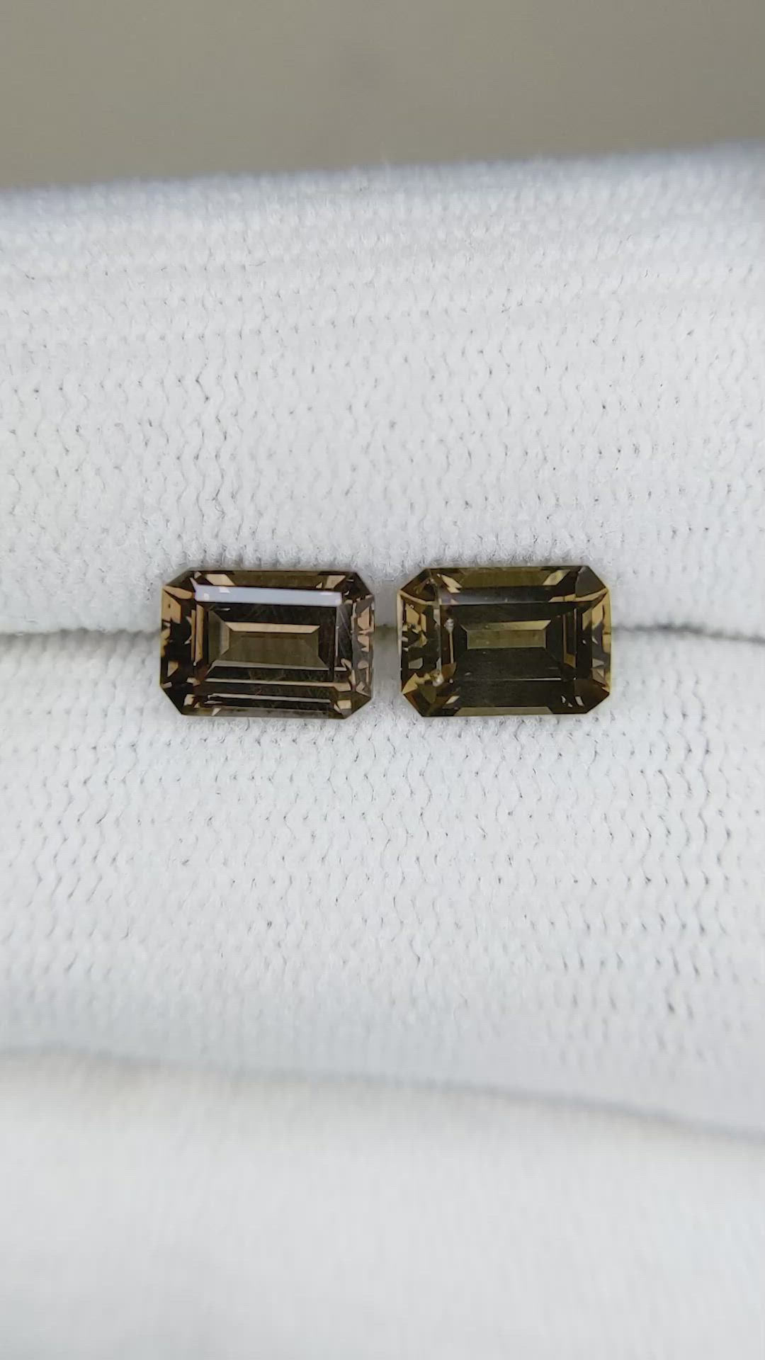 2.57&nbsp;Ct.Tw.Total Carat Weight Garnet Pair from Madagascar Size Video