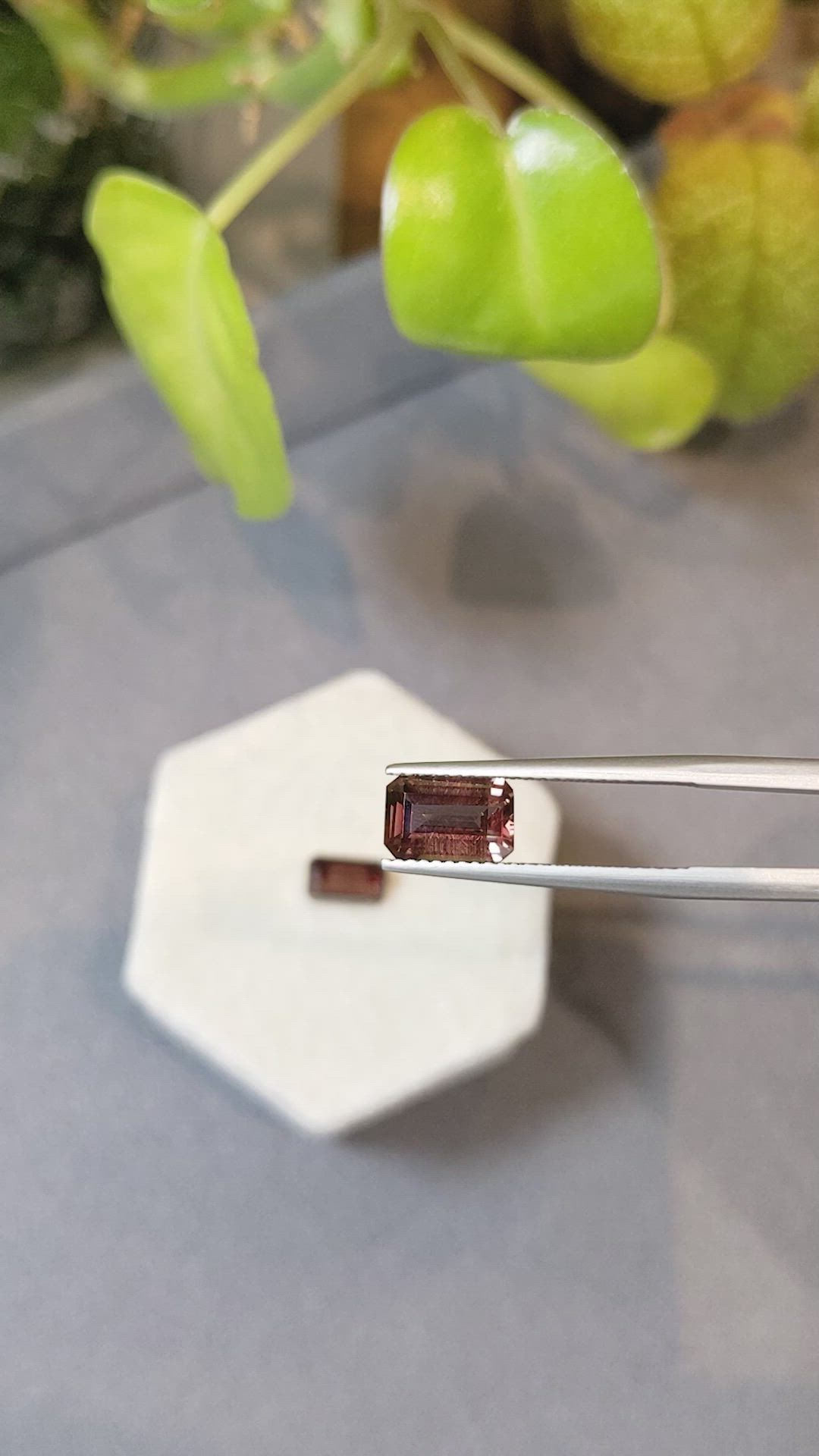 4.23&nbsp;Ct.Tw.Total Carat Weight Garnet Pair from Madagascar Size Video