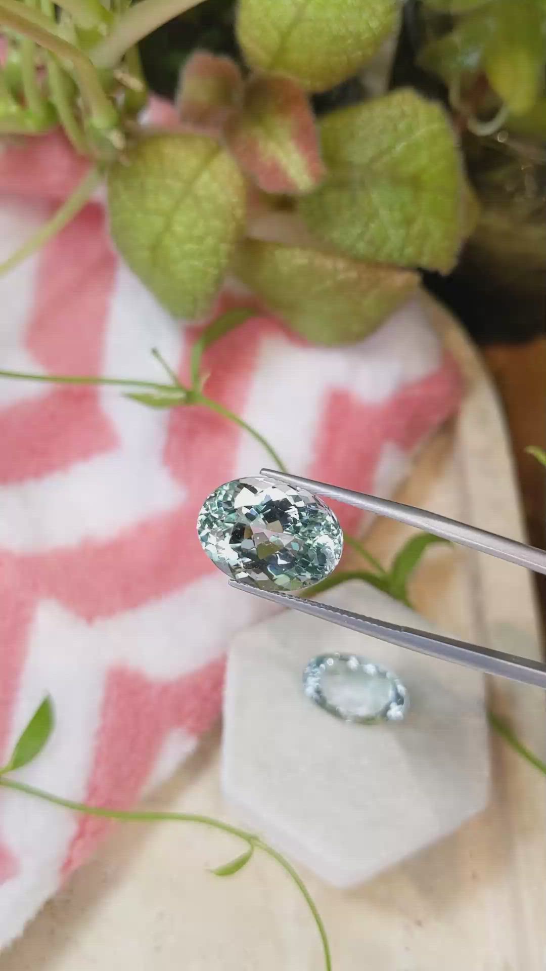 23.15&nbsp;Ct.Tw.Total Carat Weight Aquamarine Pair from Brazil Size Video