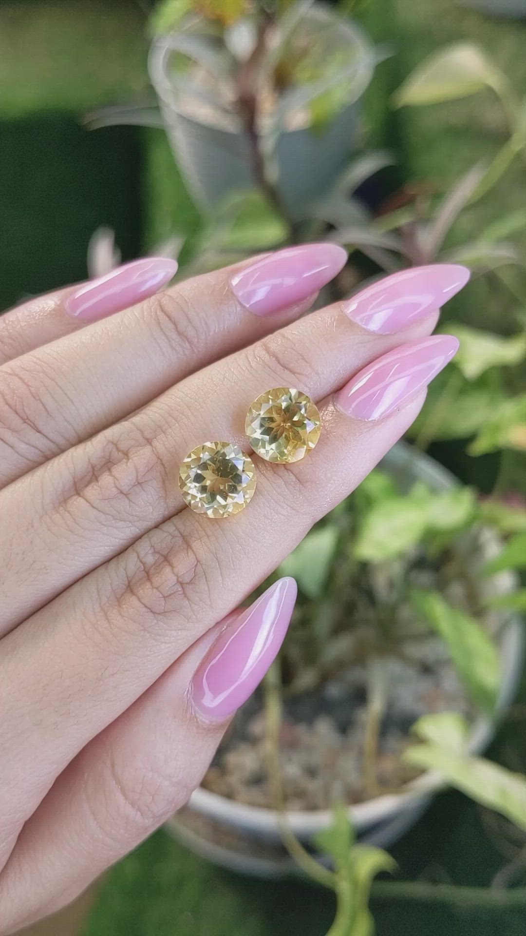 7.39&nbsp;Ct.Tw.Total Carat Weight Citrine Pair from Brazil Size Video