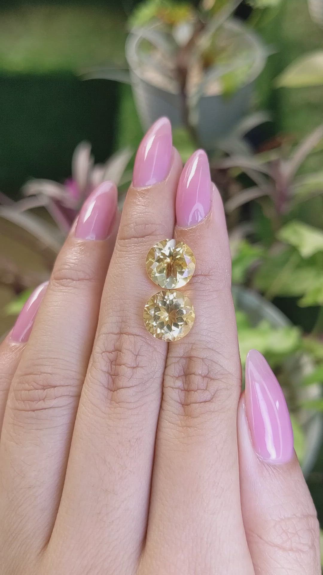 7.39&nbsp;Ct.Tw.Total Carat Weight Citrine Pair from Brazil Size Video