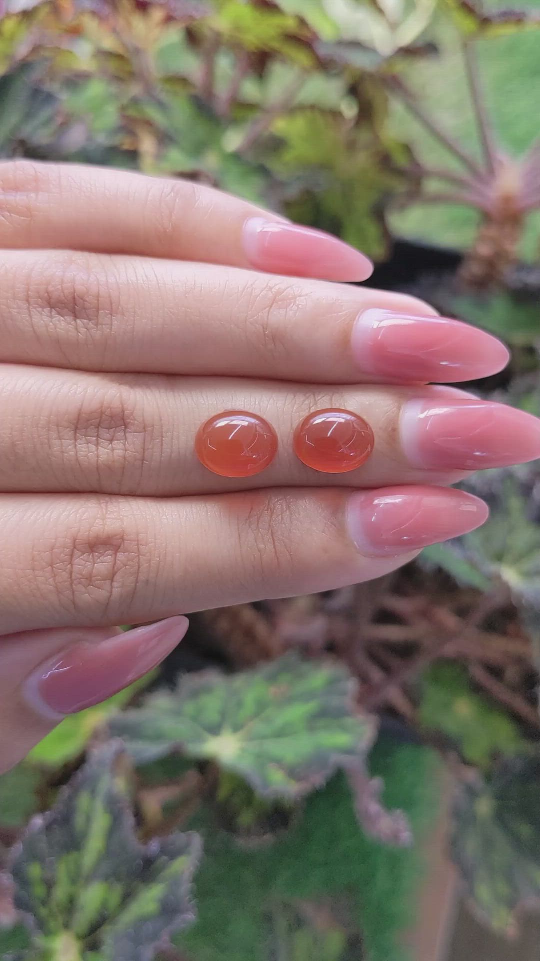 5.52&nbsp;Ct.Tw.Total Carat Weight Cabochon Carnelian Pair from Brazil Size Video