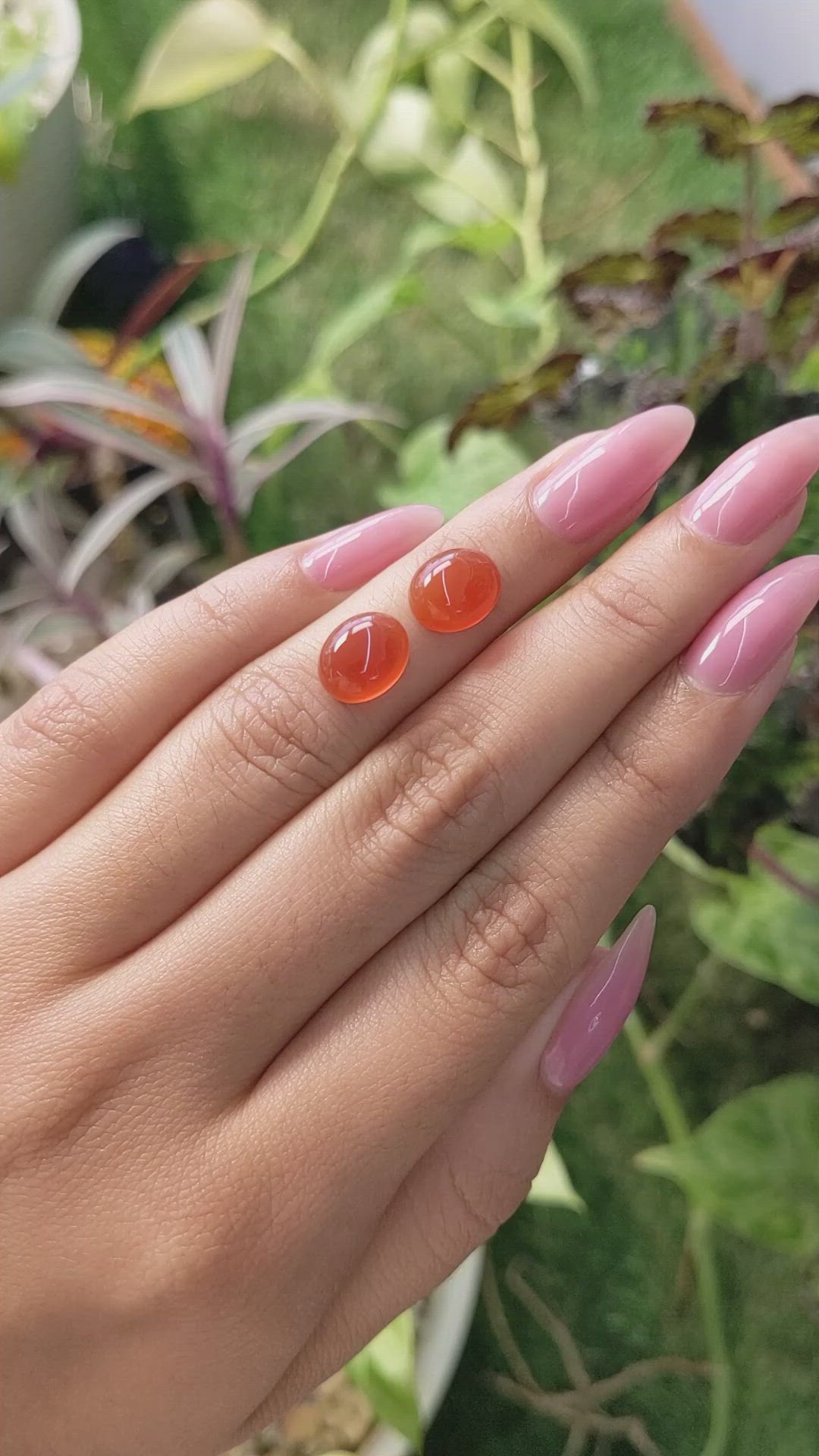 5.78&nbsp;Ct.Tw.Total Carat Weight Cabochon Carnelian Pair from Brazil Size Video