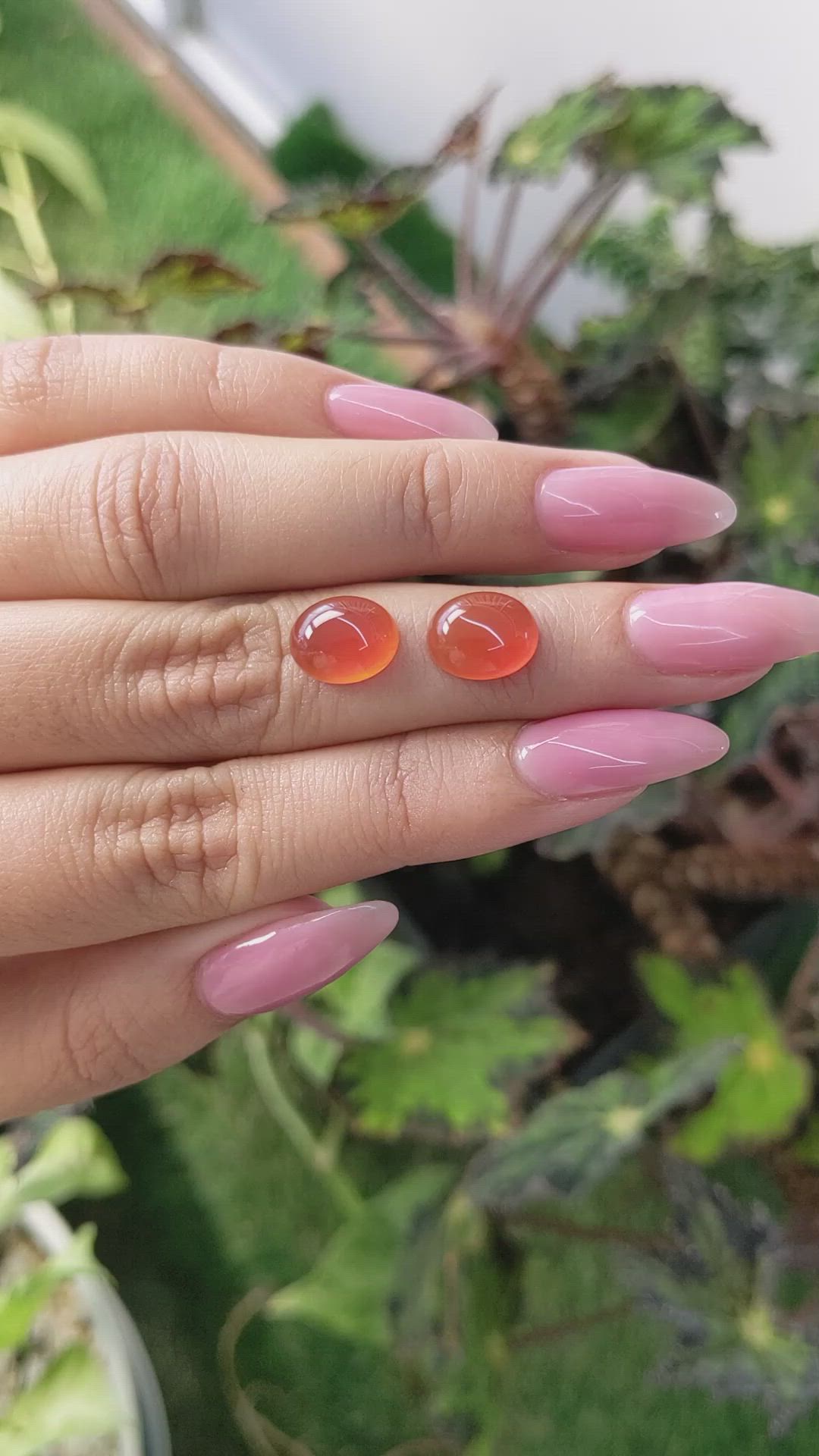 5.78&nbsp;Ct.Tw.Total Carat Weight Cabochon Carnelian Pair from Brazil Size Video