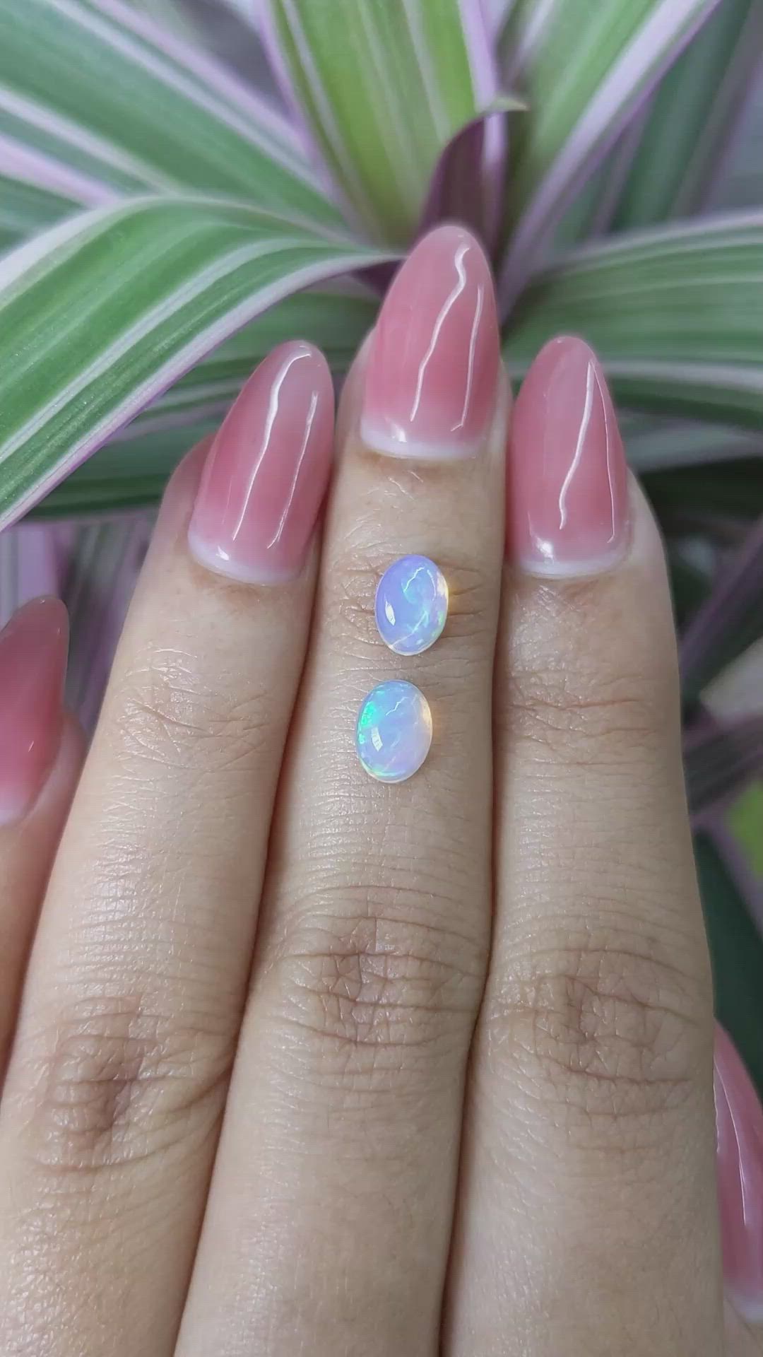 1.35&nbsp;Ct.Tw.Total Carat Weight Cabochon Opal Pair from Australia Size Video