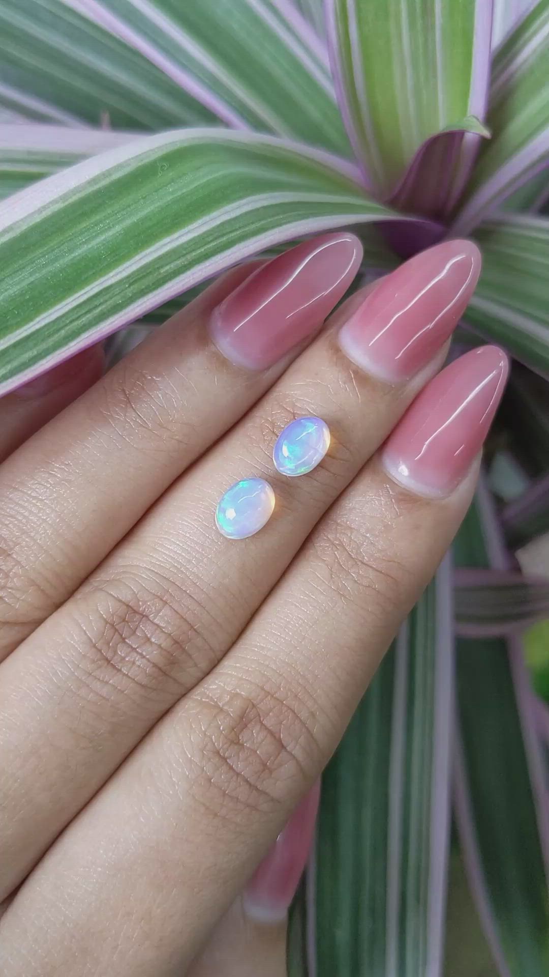 1.35&nbsp;Ct.Tw.Total Carat Weight Cabochon Opal Pair from Australia Size Video