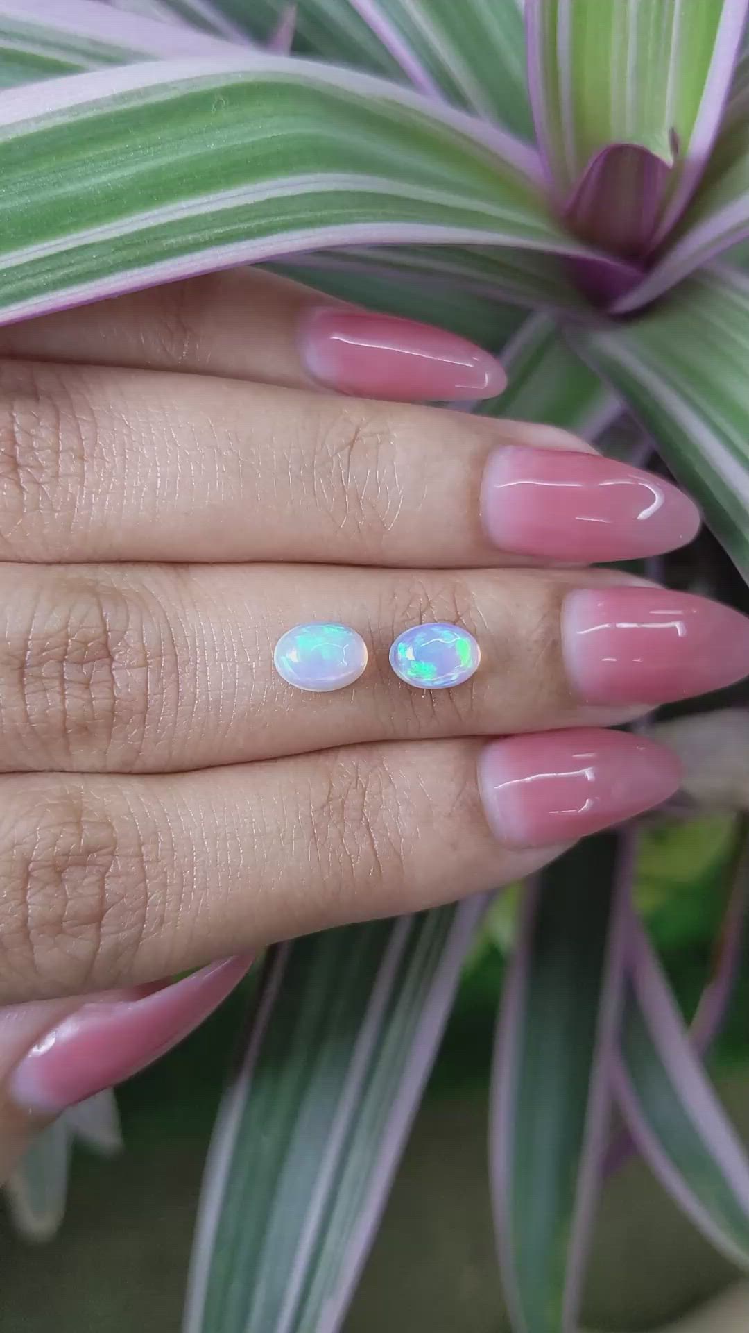 1.35&nbsp;Ct.Tw.Total Carat Weight Cabochon Opal Pair from Australia Size Video