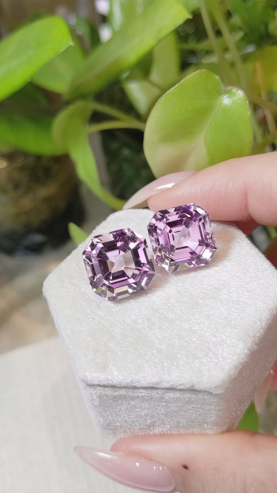 24.45 Ct.Tw.Total Carat Weight Kunzite Pair from Afghanistan Size Video