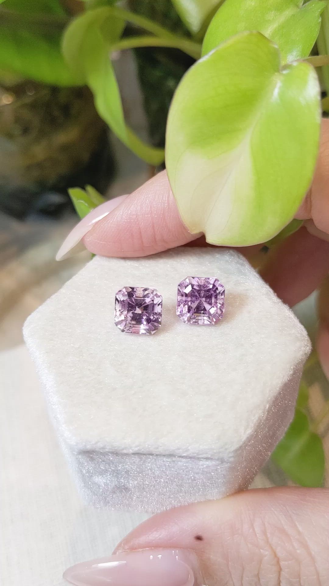 6.93 Ct.Tw.Total Carat Weight Kunzite Pair from Afghanistan Size Video