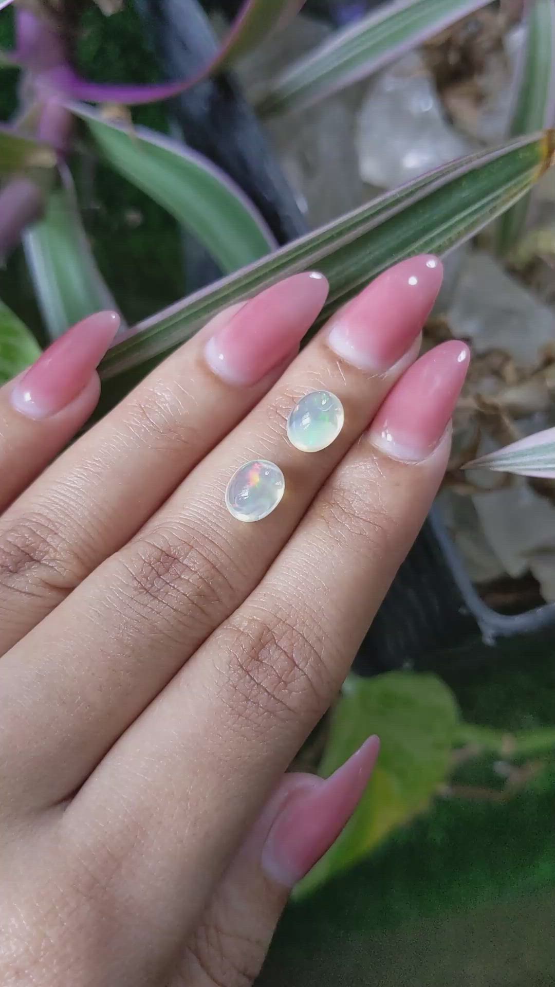 2.65 Ct.Tw.Total Carat Weight Cabochon White Opal Pair from Brazil Size Video