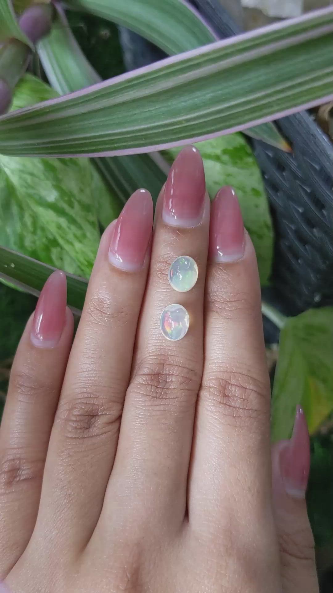 2.65 Ct.Tw.Total Carat Weight Cabochon White Opal Pair from Brazil Size Video