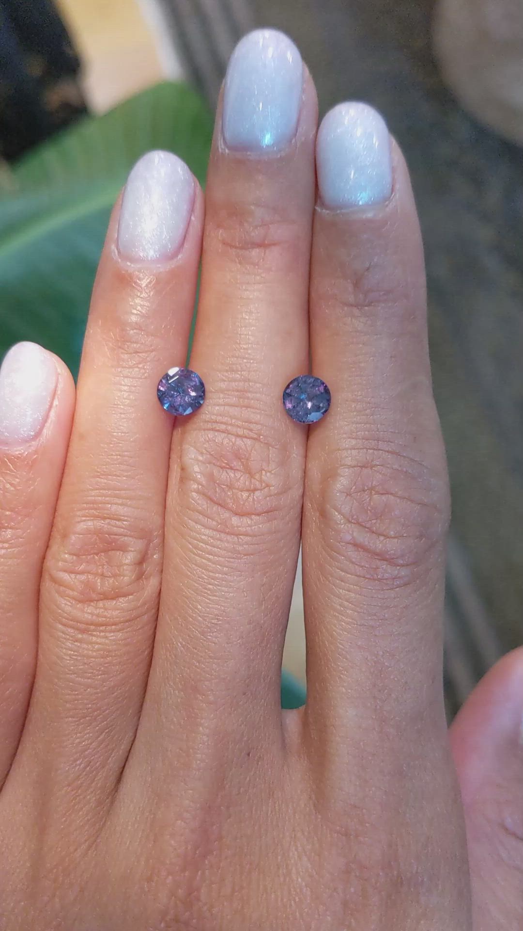 76.90 Ct.Tw.Total Carat Weight Alexandrite Pair from Ceylon (Sri Lanka) Size Video