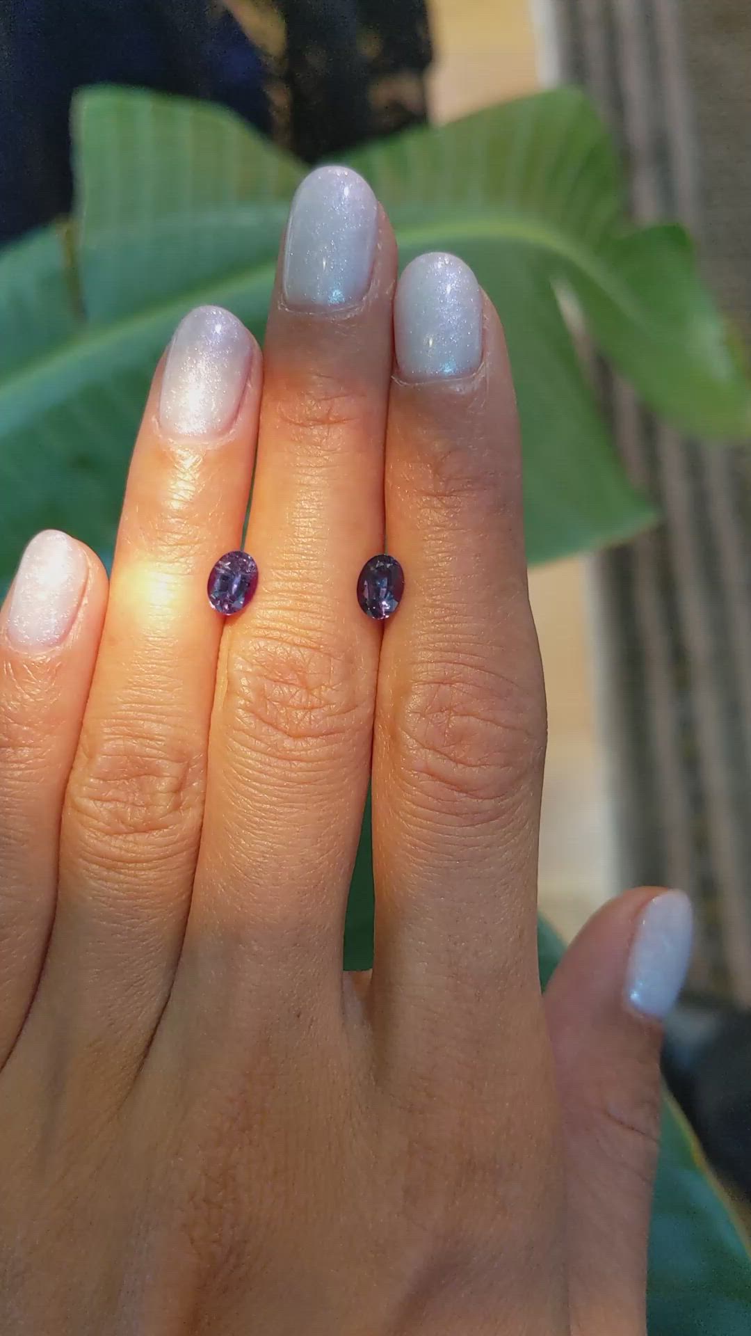 1.61&nbsp;Ct.Tw.Total Carat Weight Alexandrite Pair from Ceylon (Sri Lanka) Size Video