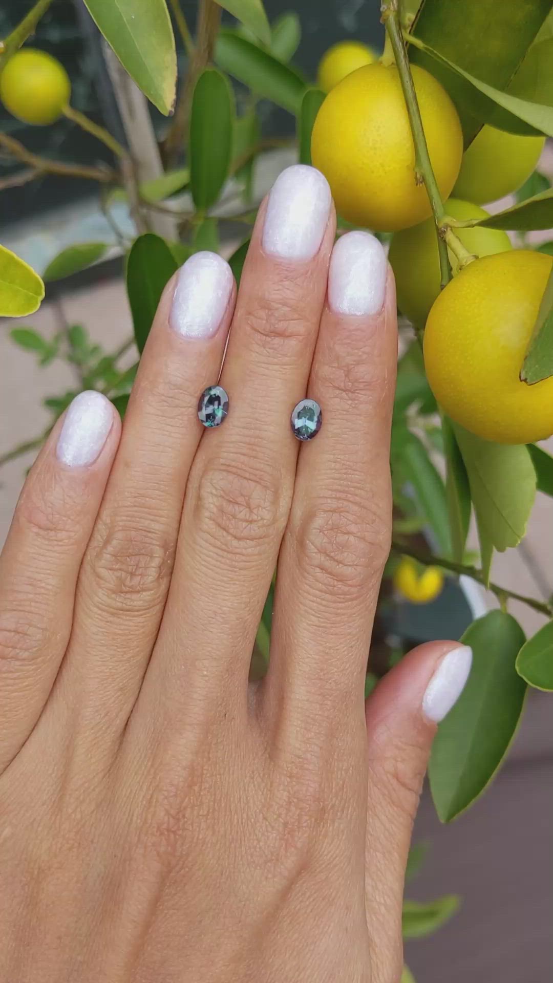 1.61&nbsp;Ct.Tw.Total Carat Weight Alexandrite Pair from Ceylon (Sri Lanka) Size Video