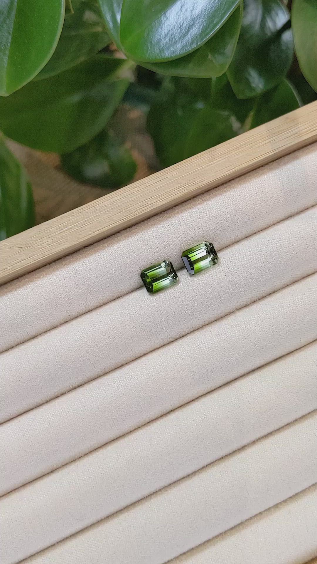 4.79&nbsp;Ct.Tw.Total Carat Weight Tourmaline Pair from Brazil Size Video